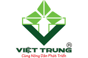 BVTV-Viet-Trung