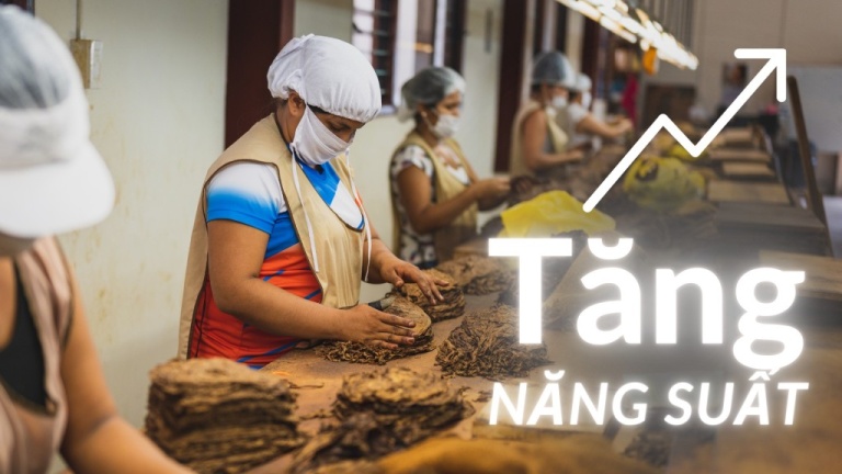 Công nhân tăng năng suất